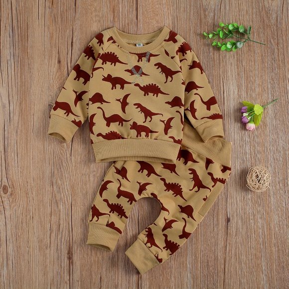 Other - Dinosaurs Boys Hooded Sweatshirt & Pants Outfit Set